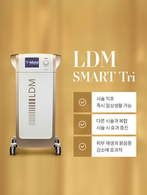 LDM
